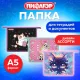 Папка для тетрадей ПИФАГОР А5, 1 отделение, пластик, на молнии, АССОРТИ для девочек, 274522