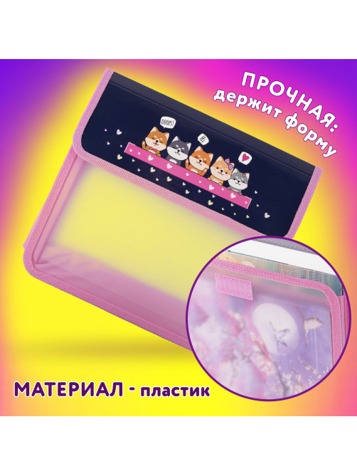 Папка для тетрадей ЮНЛАНДИЯ А5, пластик, 2 отделения, клапан на липучке, 