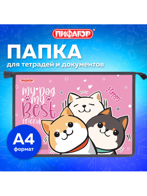 Папка для тетрадей ПИФАГОР А4, 1 отделение, картон/пластик, на молнии, 