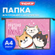 Папка для тетрадей ПИФАГОР А4, 1 отделение, картон/пластик, на молнии, 