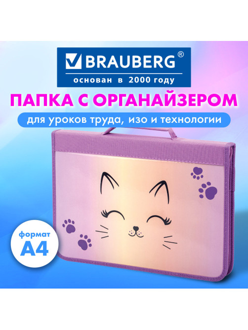 Папка на молнии BRAUBERG А4 с ручкой, с органайзером, 1 отделение, 