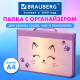 Папка на молнии BRAUBERG А4 с ручкой, с органайзером, 1 отделение, 