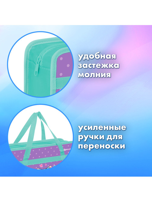Папка на молнии с ручками BRAUBERG А4, 1 отделение, пластик, 80 мм, 