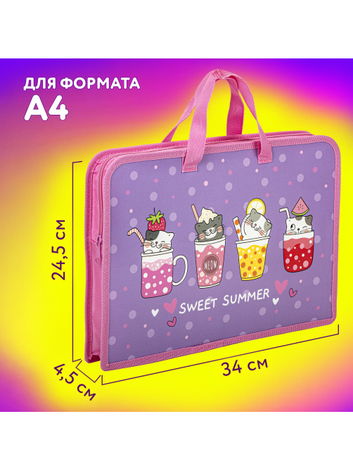 Папка на молнии с ручками ЮНЛАНДИЯ А4, 1 отделение, пластик, ширина 45 мм, 
