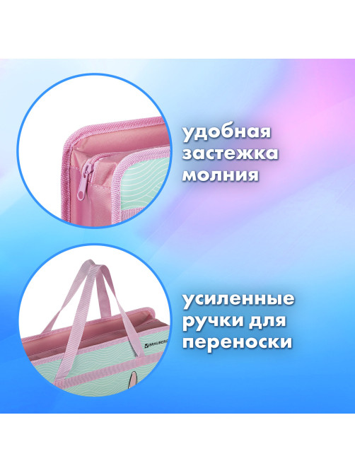 Папка на молнии с ручками BRAUBERG А4, 1 отделение, пластик, 80 мм, 