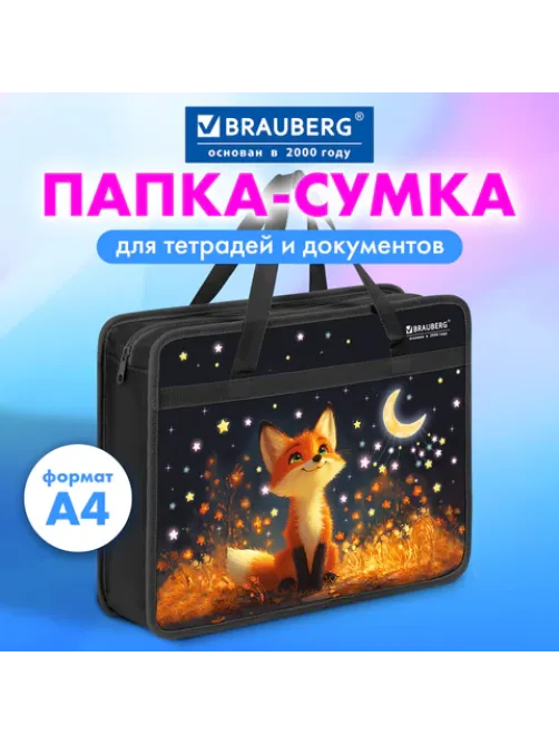 Папка на молнии с ручками BRAUBERG А4, 1 отделение, пластик, 80 мм, 