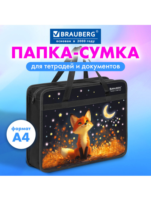 Папка на молнии с ручками BRAUBERG А4, 1 отделение, пластик, 80 мм, 