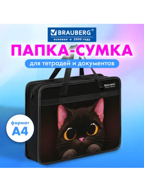 Папка на молнии с ручками BRAUBERG А4, 1 отделение, пластик, 80 мм, 