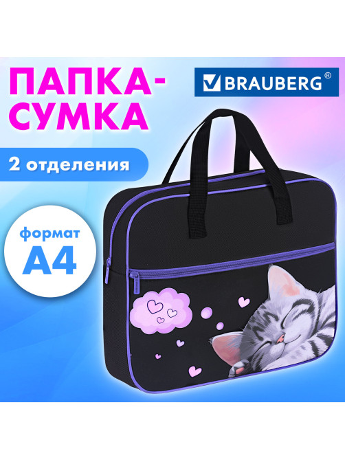 Папка на молнии с ручками BRAUBERG А4, 1 отделение, карман на молнии, 80 мм, 