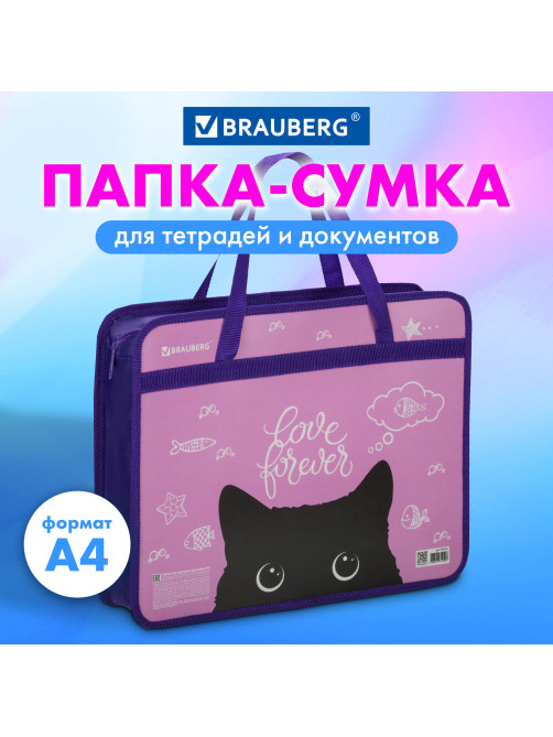 Папка на молнии с ручками BRAUBERG А4, 1 отделение, пластик, 80 мм, 