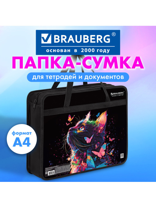 Папка на молнии с ручками BRAUBERG А4, 1 отделение, пластик, 80 мм, 
