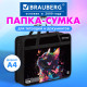 Папка на молнии с ручками BRAUBERG А4, 1 отделение, пластик, 80 мм, 