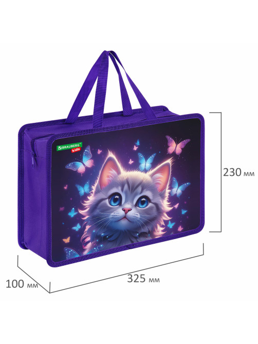 Папка на молнии с ручками BRAUBERG KIDS А4, 1 отделение, пластик, 100 мм, 