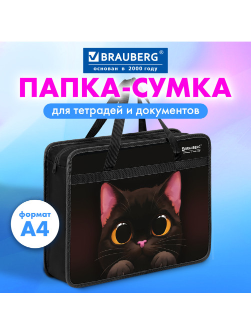 Папка на молнии с ручками BRAUBERG А4, 1 отделение, пластик, 80 мм, 