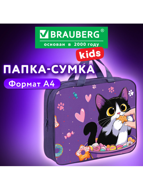 Папка на молнии с ручками BRAUBERG KIDS А4, 1 отделение, полиэстер, 80 мм, 
