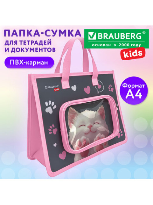 Папка на молнии с ручками BRAUBERG KIDS А4, 1 отделение, дополнительные карманы, пластик, 