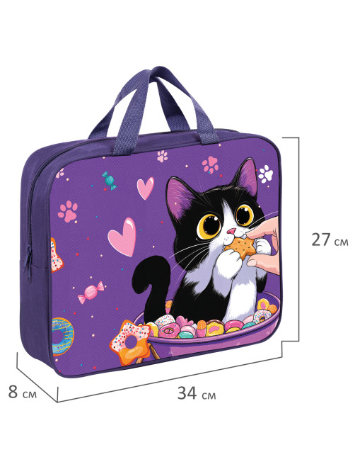 Папка на молнии с ручками BRAUBERG KIDS А4, 1 отделение, полиэстер, 80 мм, 