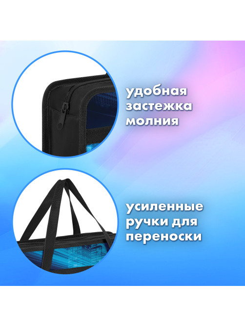 Папка на молнии с ручками BRAUBERG А4, 1 отделение, пластик, 80 мм, 