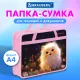 Папка на молнии с ручками BRAUBERG А4, 1 отделение, пластик, 80 мм, 