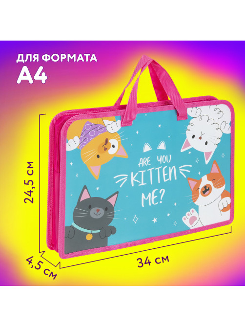 Папка на молнии с ручками ЮНЛАНДИЯ А4, 1 отделение, пластик, ширина 45 мм, 