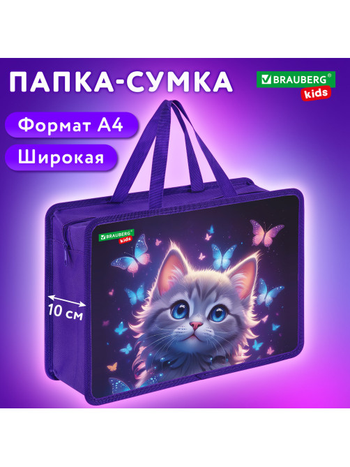 Папка на молнии с ручками BRAUBERG KIDS А4, 1 отделение, пластик, 100 мм, 