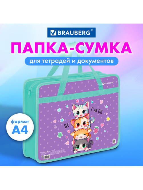 Папка на молнии с ручками BRAUBERG А4, 1 отделение, пластик, 80 мм, 