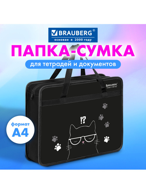 Папка на молнии с ручками BRAUBERG А4, 1 отделение, пластик, 80 мм, 