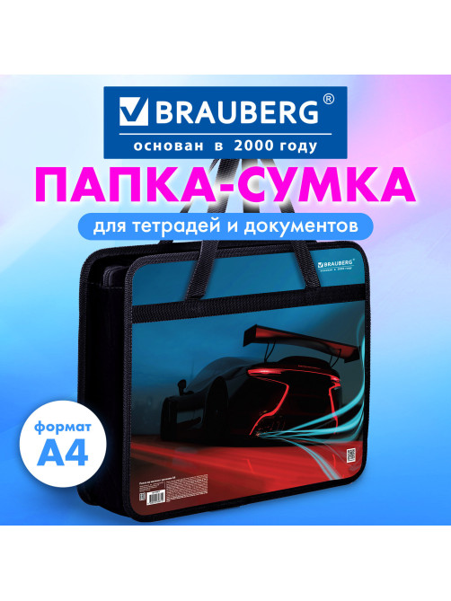 Папка на молнии с ручками BRAUBERG А4, 1 отделение, пластик, 80 мм, 