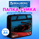 Папка на молнии с ручками BRAUBERG А4, 1 отделение, пластик, 80 мм, 