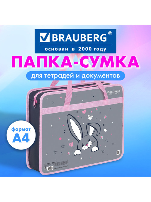Папка на молнии с ручками BRAUBERG А4, 1 отделение, пластик, 80 мм, 
