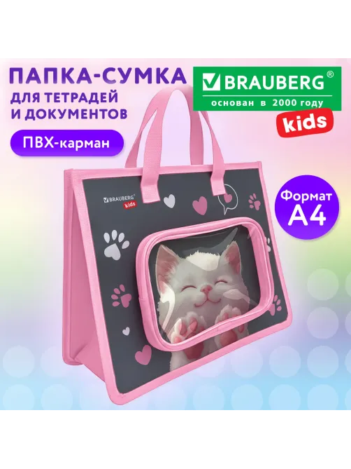 Папка на молнии с ручками BRAUBERG KIDS А4, 1 отделение, дополнительные карманы, пластик, 