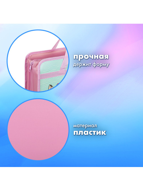 Папка на молнии с ручками BRAUBERG А4, 1 отделение, пластик, 80 мм, 
