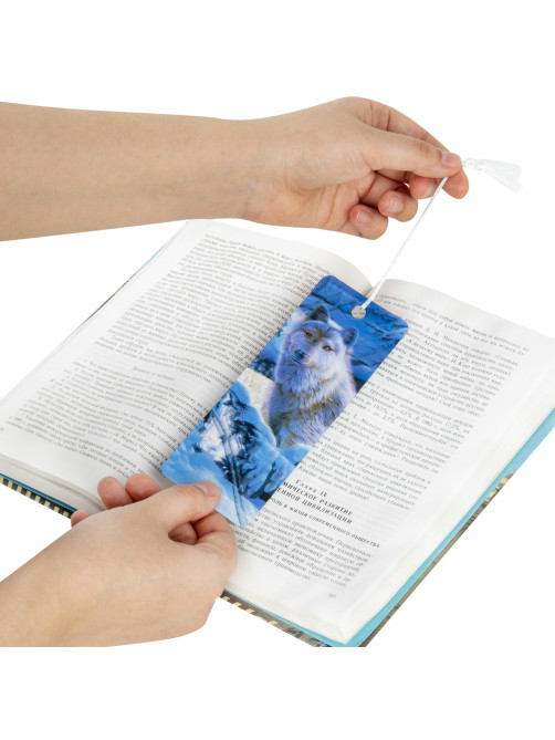 Закладка для книг с линейкой 3D-ОБЪЕМНАЯ BRAUBERG, 