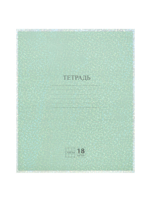 Обложки с ГОЛОГРАММОЙ для тетрадей и дневников, КОМПЛЕКТ 5 шт., ПЛОТНЫЕ, 100 мкм, 210x350 мм, FUNSTER (ФАНСТЕР), 274089