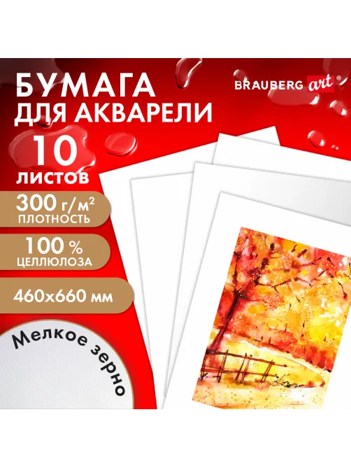 Бумага для акварели 300 г/м2 460x660 мм мелкое зерно, 10 листов, BRAUBERG ART PREMIERE, 113232