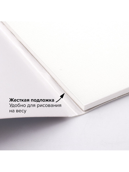 Папка для акварели/планшет, 300 г/м2, 270х390 мм, склейка, среднее зерно, 20 л., BRAUBERG ART PREMIERE, 113248