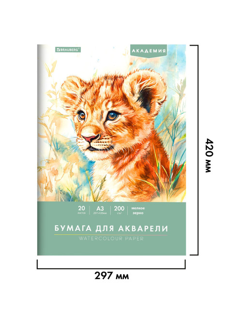 Папка для акварели БОЛЬШАЯ А3, 20 л., 200 г/м2, 297х420 мм, BRAUBERG АКАДЕМИЯ, 