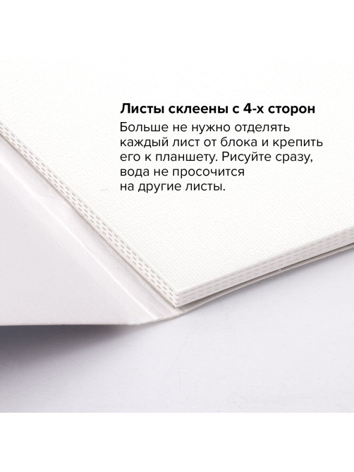 Папка для акварели/планшет, 300 г/м2, 270х390 мм, склейка, крупное зерно, 20 л., BRAUBERG ART PREMIERE, 113250