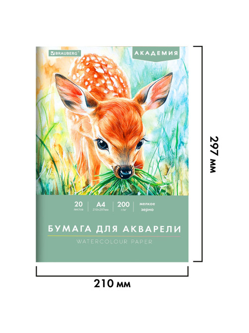 Папка для акварели А4, 20 л., 200 г/м2, 210х297 мм, BRAUBERG АКАДЕМИЯ, 