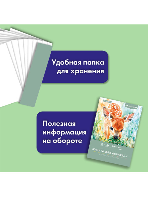 Папка для акварели А4, 20 л., 200 г/м2, 210х297 мм, BRAUBERG АКАДЕМИЯ, 