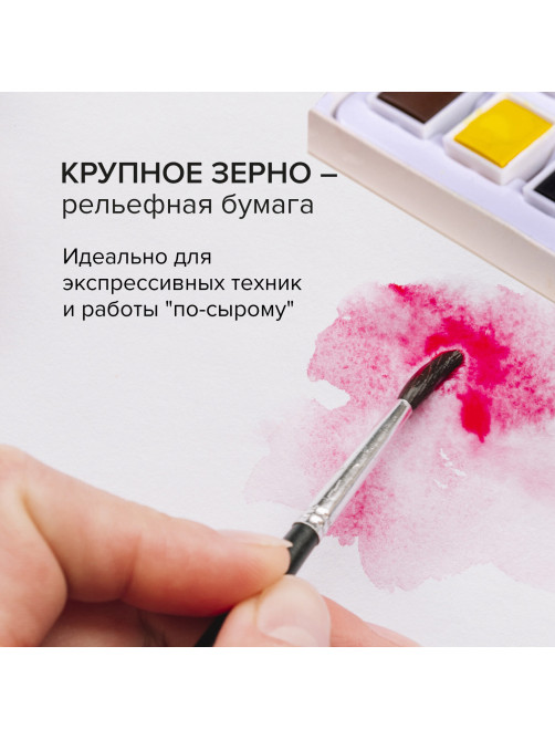 Бумага для акварели 300 г/м2 460x660 мм крупное зерно, 10 листов, BRAUBERG ART PREMIERE, 113234