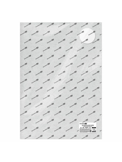 Бумага для акварели 300 г/м2 460x660 мм крупное зерно, 10 листов, BRAUBERG ART PREMIERE, 113234