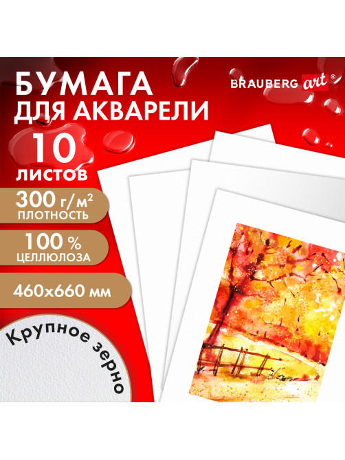 Бумага для акварели 300 г/м2 460x660 мм крупное зерно, 10 листов, BRAUBERG ART PREMIERE, 113234