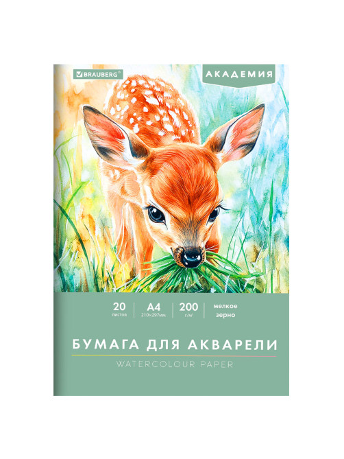 Папка для акварели А4, 20 л., 200 г/м2, 210х297 мм, BRAUBERG АКАДЕМИЯ, 