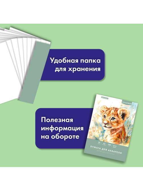 Папка для акварели БОЛЬШАЯ А3, 20 л., 200 г/м2, 297х420 мм, BRAUBERG АКАДЕМИЯ, 