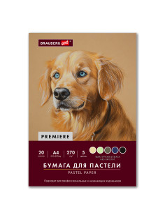 Бумага для пастели ФАКТУРНАЯ, А4, в папке, 20 листов, 5 цветов, 270 г/м2, BRAUBERG ART, 117755