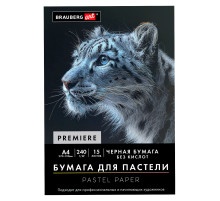 Бумага для пастели АБРАЗИВНАЯ А4 в папке, 15 листов, ЧЕРНАЯ, 240 г/м2, BRAUBERG ART, 117765