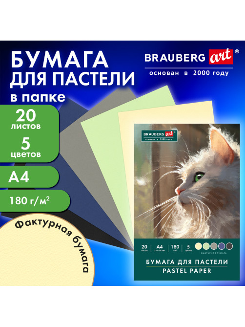 Бумага для пастели А4 в папке, 20 листов, 5 цветов, 180 г/м2, BRAUBERG ART CLASSIC, 116345
