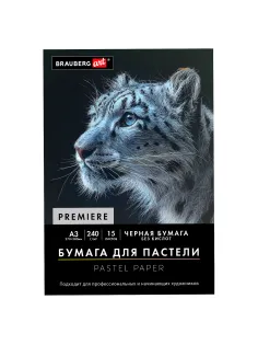 Бумага для пастели АБРАЗИВНАЯ А3 в папке, 15 листов, ЧЕРНАЯ, 240 г/м2, BRAUBERG ART, 117766