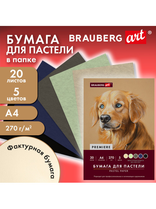 Бумага для пастели ФАКТУРНАЯ, А4, в папке, 20 листов, 5 цветов, 270 г/м2, BRAUBERG ART, 117755